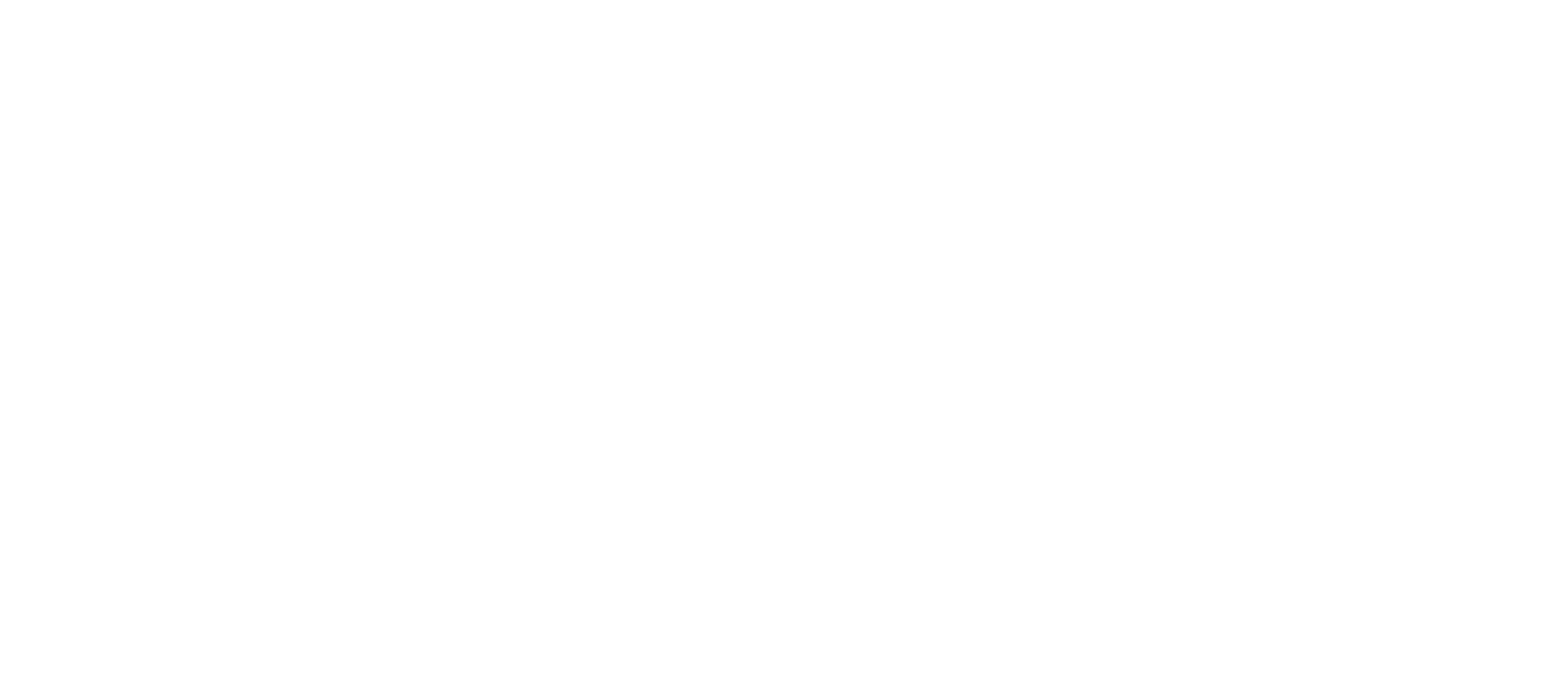 White Logo Nameless